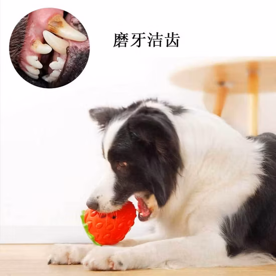 Jouet en caoutchouc souple pour animaux de compagnie, brosse à dents dentaire, jouets interactifs de nettoyage, balle d'alimentation en caoutchouc, balle pour chien, jouet à mâcher interactif pour animaux de compagnie